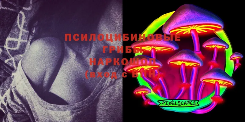 Галлюциногенные грибы Magic Shrooms Анапа